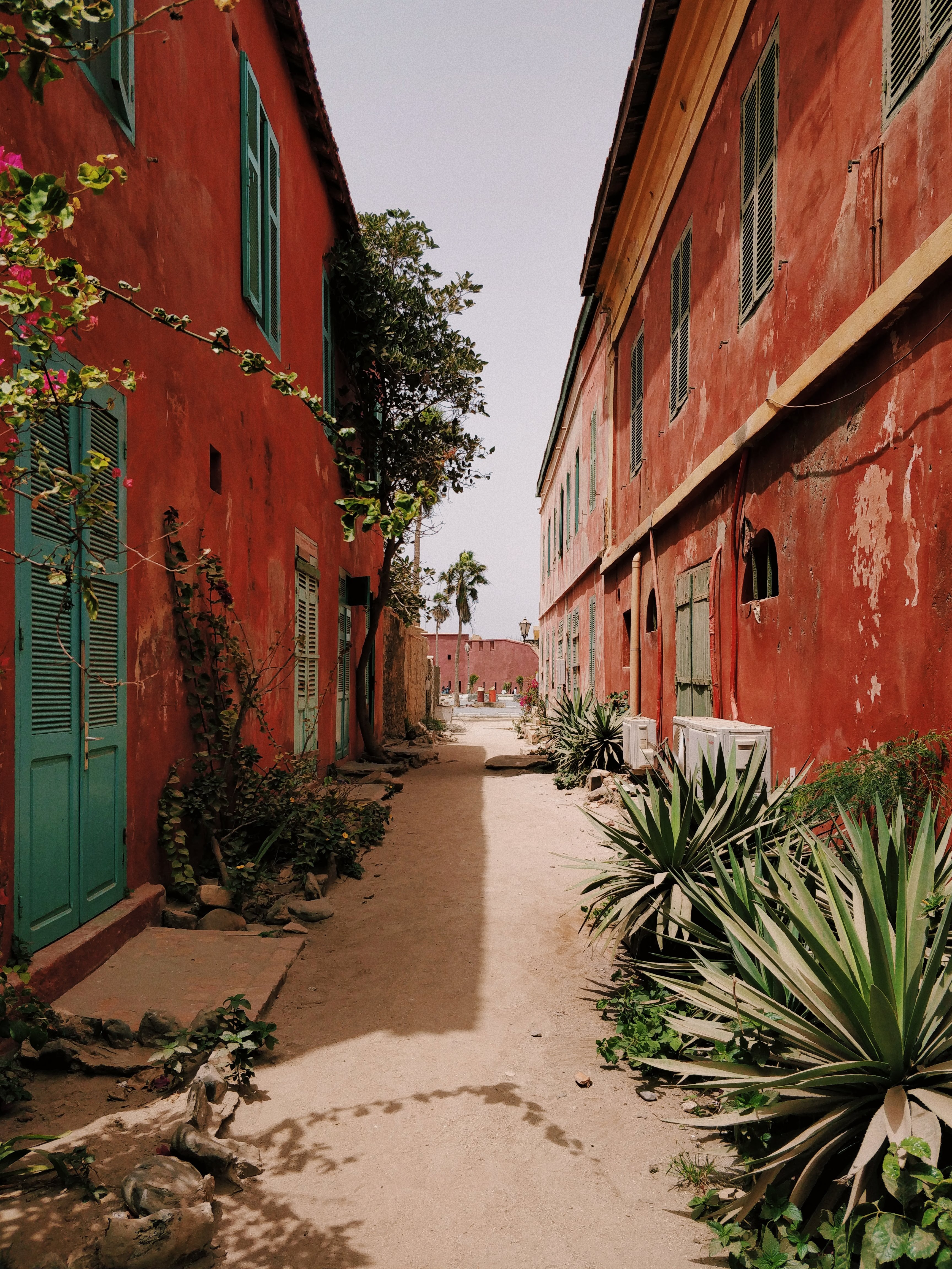 image ile de goree